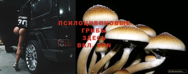 трава Арсеньев