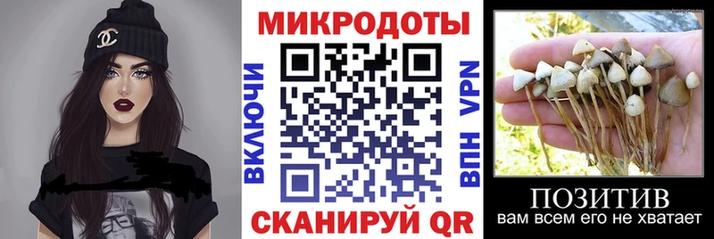 Псилоцибиновые грибы мухоморы  KRAKEN онион  Полевской 